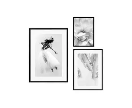 Набор постеров Балет №86 (Белый)