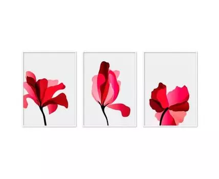 Набор постеров Цветы №53