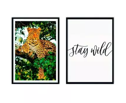 Набор постеров Джунгли №1 (Зеленый, 40)