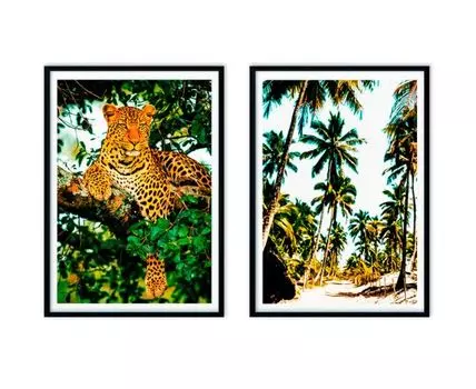Набор постеров Джунгли №2 (Зеленый, 21)