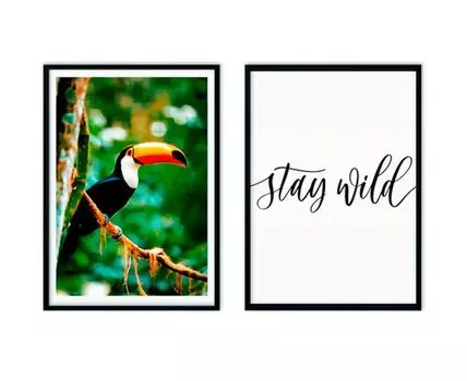 Набор постеров Джунгли №4 (Зеленый, 40)