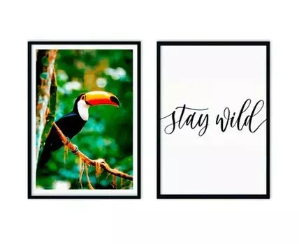 Набор постеров Джунгли №4 (Зеленый, 50)