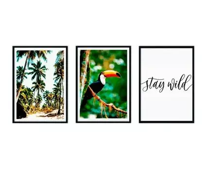 Набор постеров Джунгли №6 (Зеленый, 50)