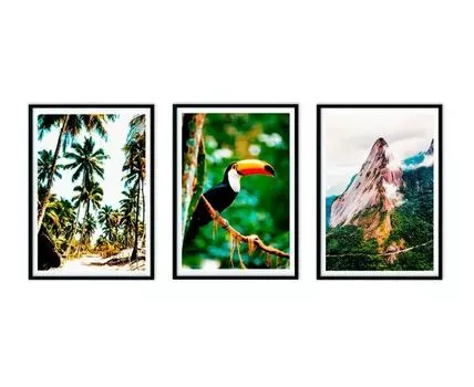 Набор постеров Джунгли №7 (Зеленый, 30)