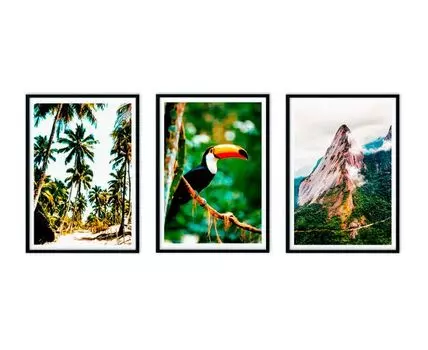 Набор постеров Джунгли №7 (Зеленый, 40)