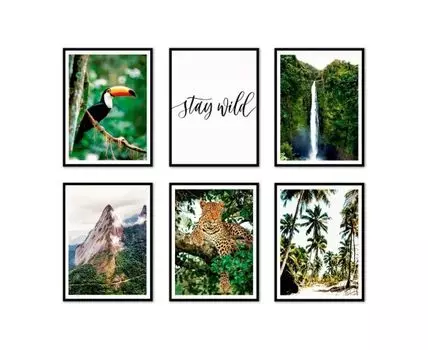 Набор постеров Джунгли №8 (Зеленый, 21)