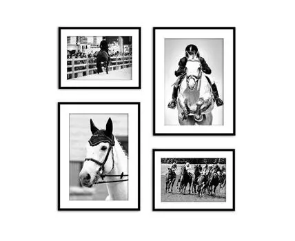 Набор постеров Конный спорт №4 (Белый)