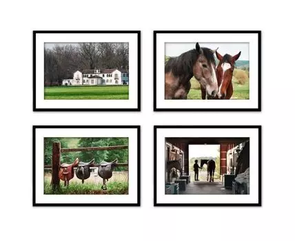 Набор постеров Лошади №1 (Зеленый, 30)