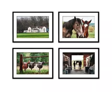 Набор постеров Лошади №1 (Зеленый, 40)