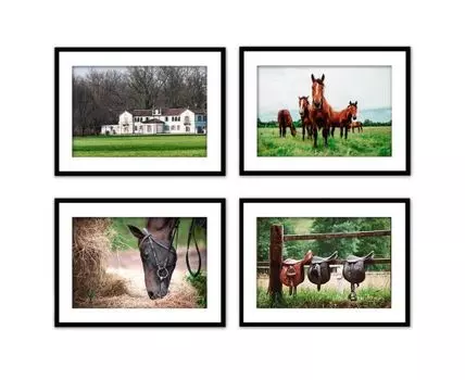 Набор постеров Лошади №2 (Зеленый, 40)