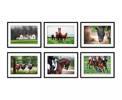 Набор постеров Лошади №3 (Зеленый, 21)