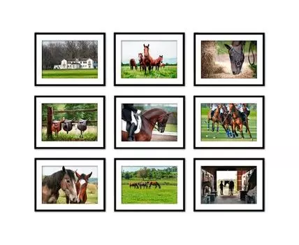 Набор постеров Лошади №4 (Зеленый, 21)