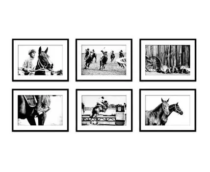 Набор постеров Лошади ретро фото №3 (Белый, 30)