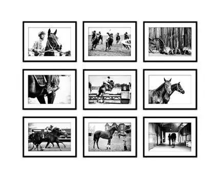 Набор постеров Лошади ретро фото №5 (Белый, 21)