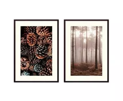 Набор постеров Природа №112 (Коричневый)