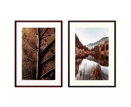 Набор постеров Природа №116 (Коричневый)