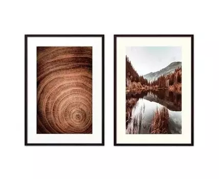 Набор постеров Природа №119 (Коричневый)