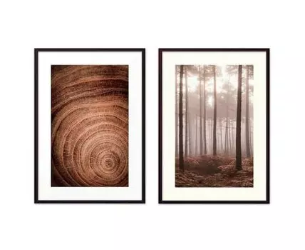 Набор постеров Природа №121 (Коричневый)