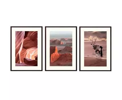 Набор постеров Природа №141 (Коричневый)