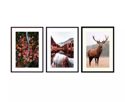 Набор постеров Природа №145 (Зеленый)