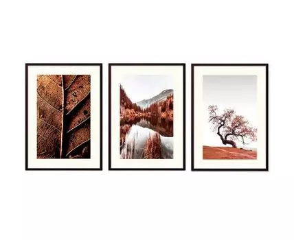 Набор постеров Природа №175 (Коричневый)