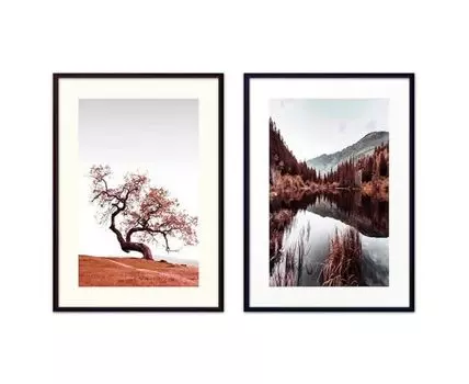 Набор постеров Природа №42 (Коричневый)