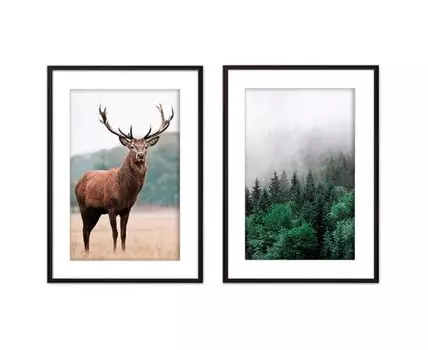 Набор постеров Природа №72 (Зеленый)