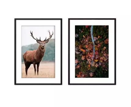 Набор постеров Природа №92 (Коричневый)