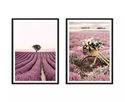 Набор постеров Прованс №3 (Фиолетовый)