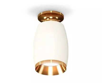 Накладной светильник Ambrella light XS