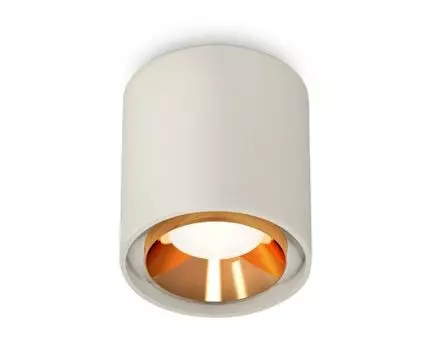 Накладной светильник Ambrella light XS