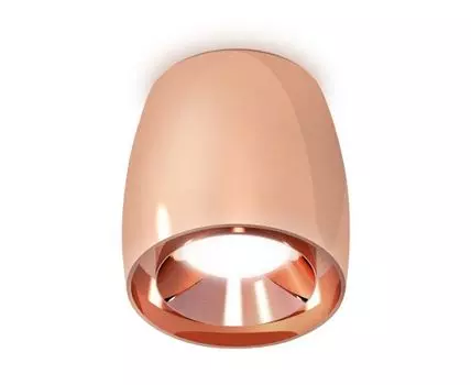 Накладной светильник Ambrella light XS