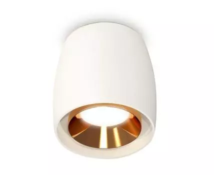 Накладной светильник Ambrella light XS