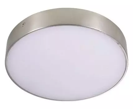 Накладной светильник Aployt Evon APL.0114.19.24