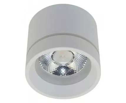 Накладной светильник Aployt Gita APL.0043.09.05