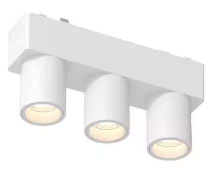 Накладной светильник Aployt Magnetic track 48 APL.0110.10.06