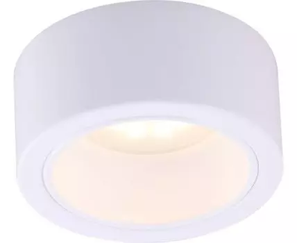 Накладной светильник ArteLamp Effetto