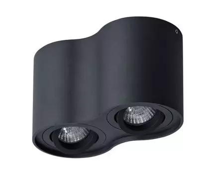 Накладной светильник ArteLamp FALCON