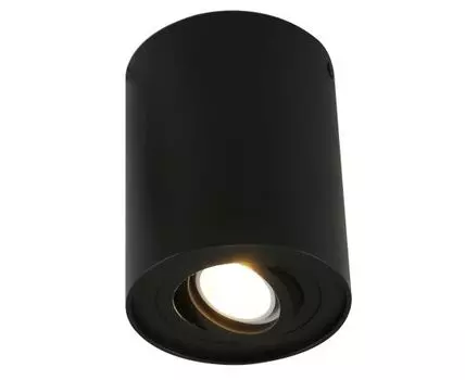 Накладной светильник ArteLamp FALCON