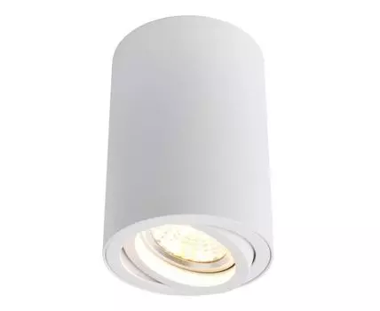 Накладной светильник ArteLamp SENTRY