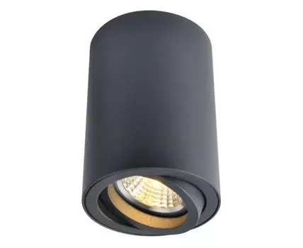 Накладной светильник ArteLamp SENTRY