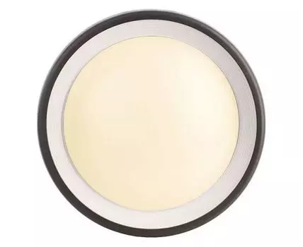 Накладной светильник Deko-Light Canis 731043