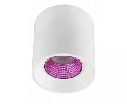 Накладной светильник Denkirs