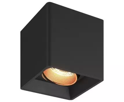 Накладной светильник Denkirs DK3020BВ DK3080-BBR