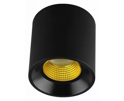 Накладной светильник Denkirs DK3020BYE DK3090-BK+YE