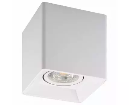 Накладной светильник Denkirs DK3020WW DK3030-WH