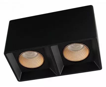 Накладной светильник Denkirs DK3030 DK3085-BK+BR