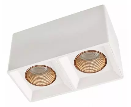 Накладной светильник Denkirs DK3030 DK3085-WH+BR