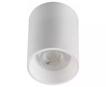 Накладной светильник Denkirs DK3110 DK3110-WH