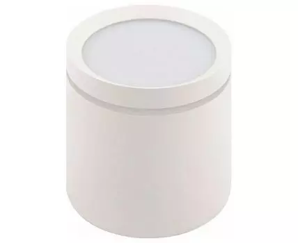 Накладной светильник Denkirs DK401 DK4016-WH